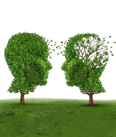 Neurologie  Nervenerkrankungen